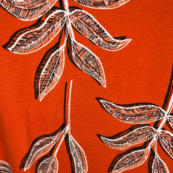 100% Cotton T-Shirt - Picture 5 of 6